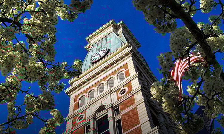 County Courthouse and aristocrat pears - Columbus, Indiana